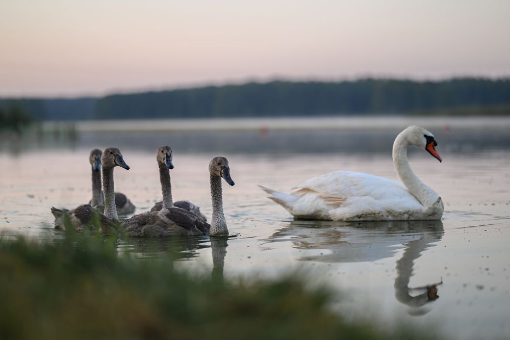 Photograph by Дарья Кончакова