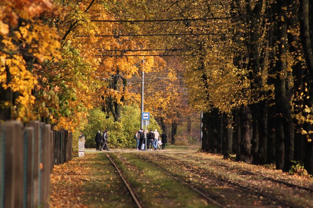 Photograph by Igors Rostikovs