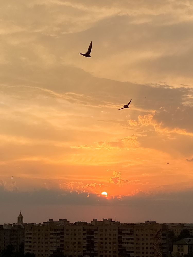 Photograph by Дарья Махнёва