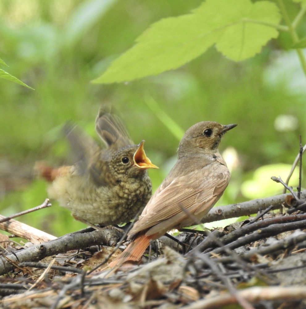 Photograph by Римма Большакова