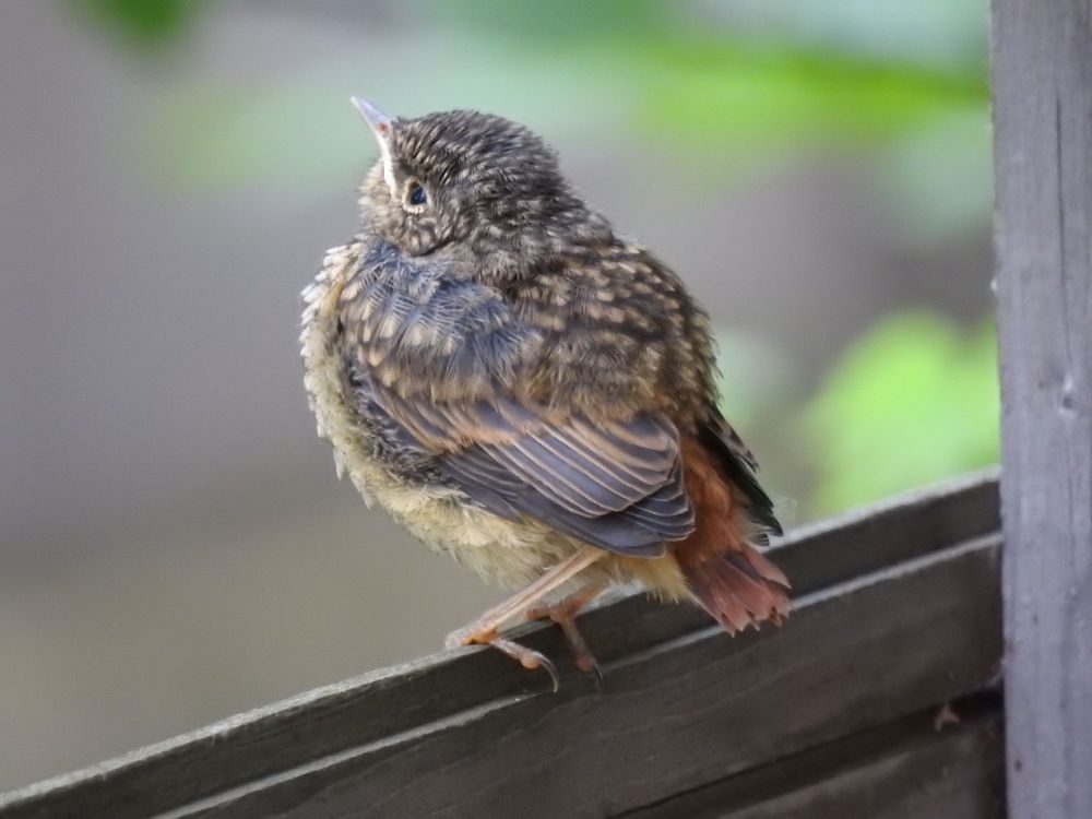 Photograph by Римма Большакова