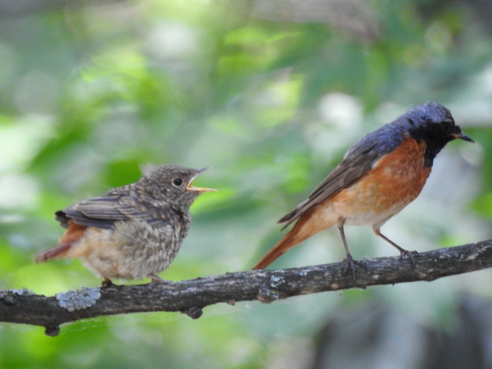 Photograph by Римма Большакова