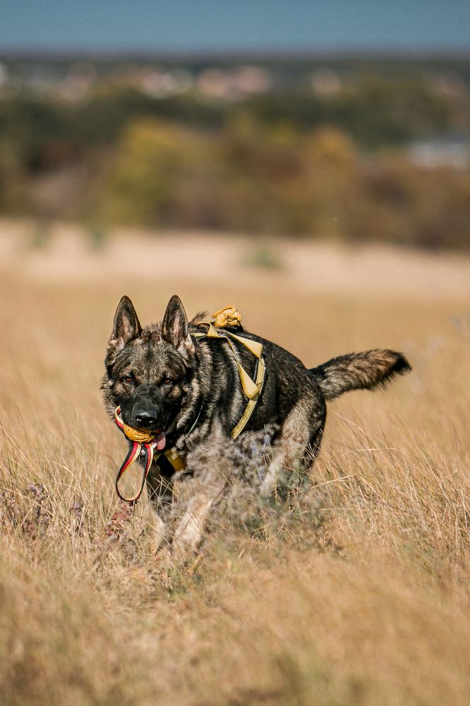 Photograph by Владислава Алексеевна