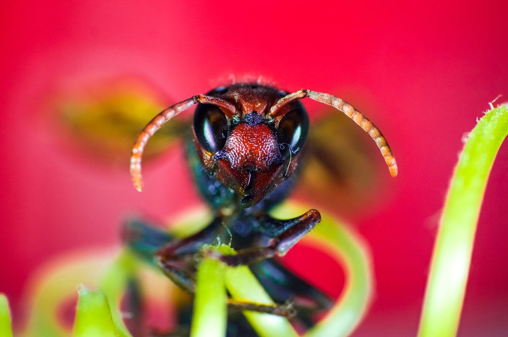 Photograph by Arindam Sahoo