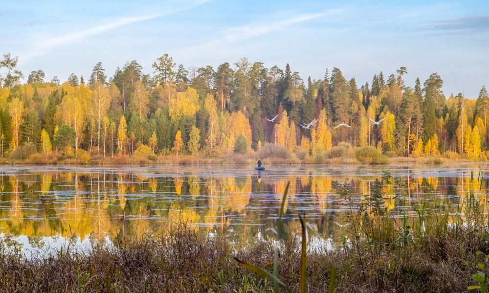 Фотография автора Рыболов Андрей