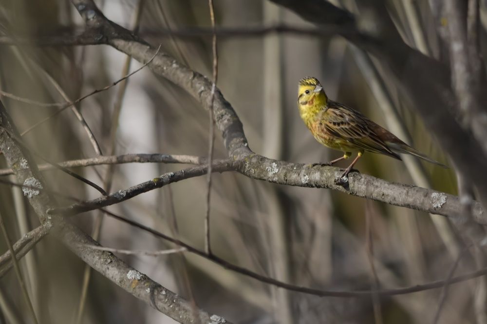 Photograph by Наталья Сорокина