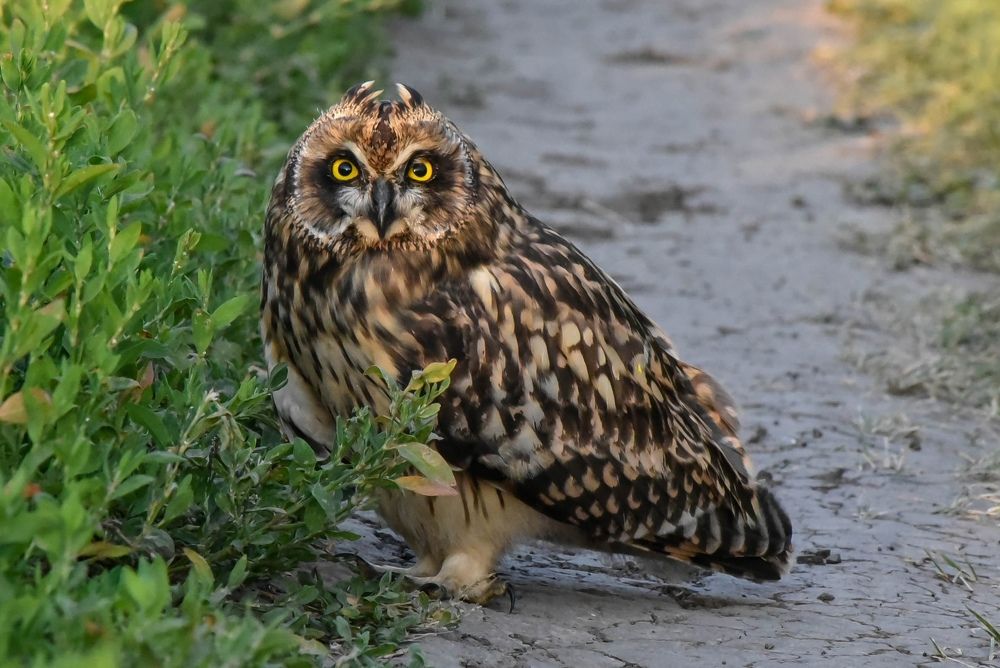 Photograph by Наталья Сорокина