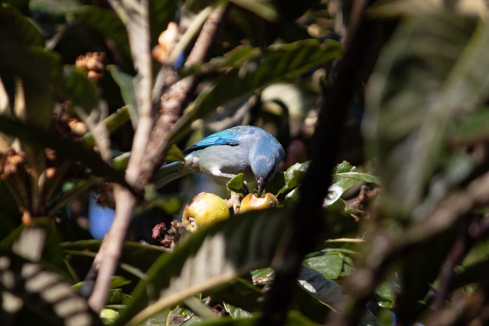 Photograph by Mariana Carvalho