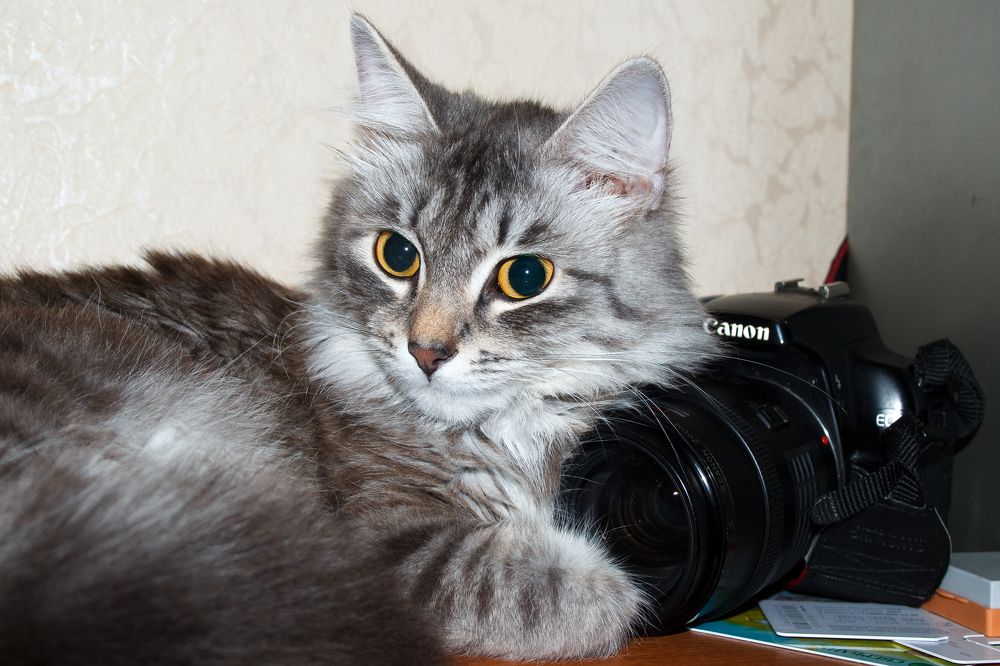 Photograph by Сергей