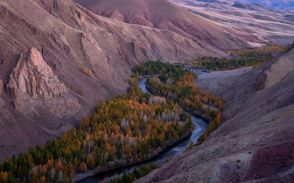 Photograph by Екатерина Дубровская