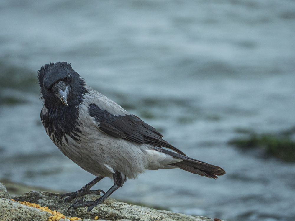 Photograph by Надежда Михайлина