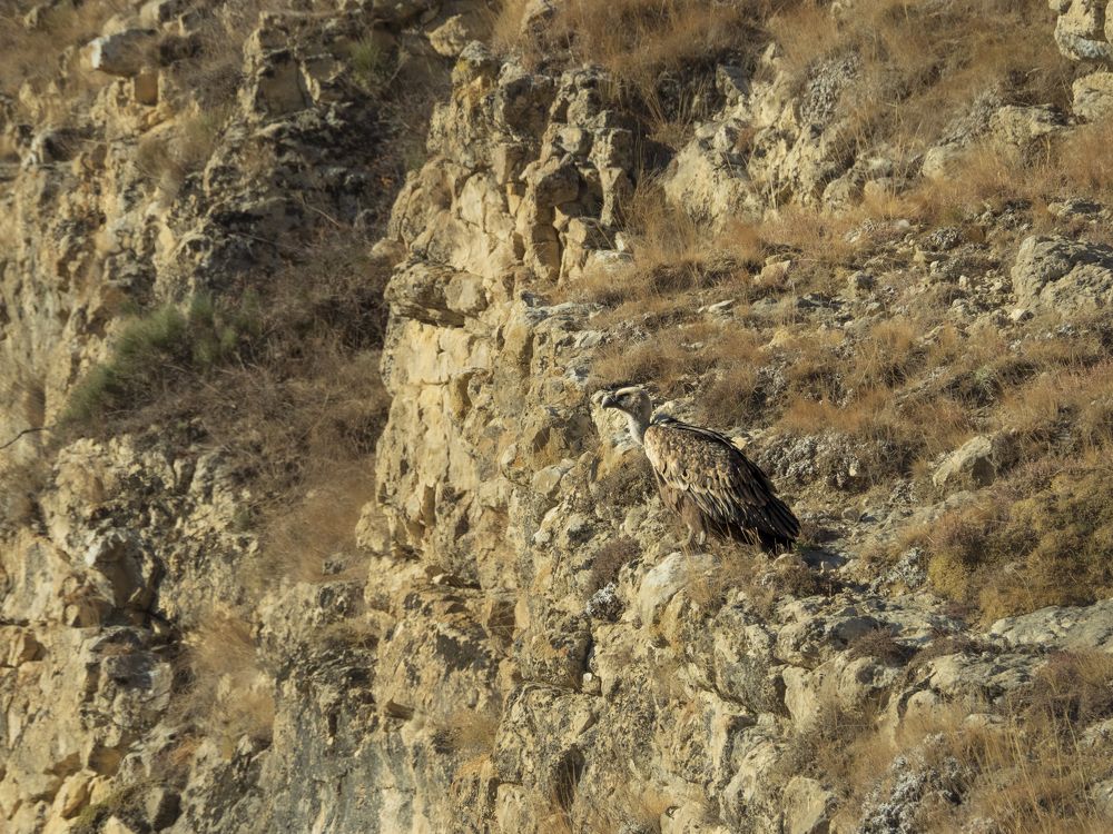 Photograph by Надежда Михайлина