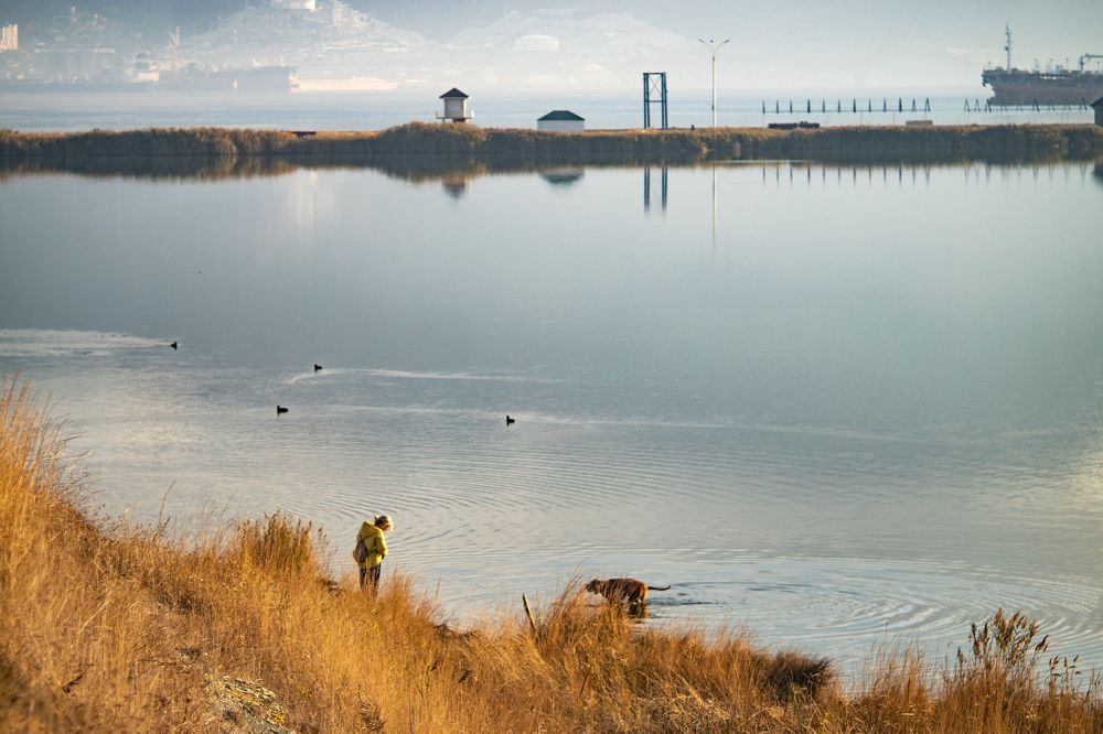 Море осенью