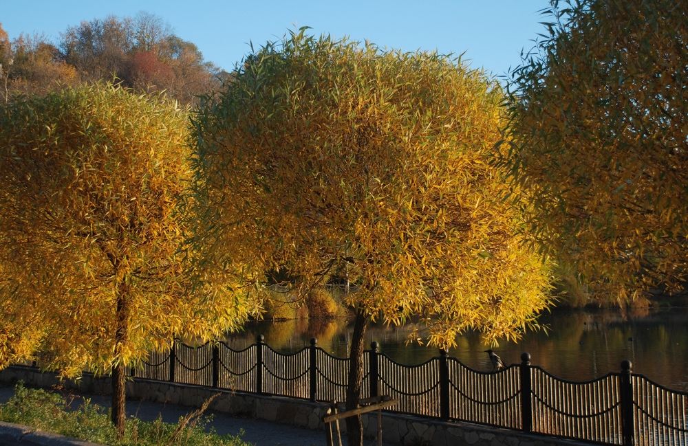 Photograph by Ася Батурина