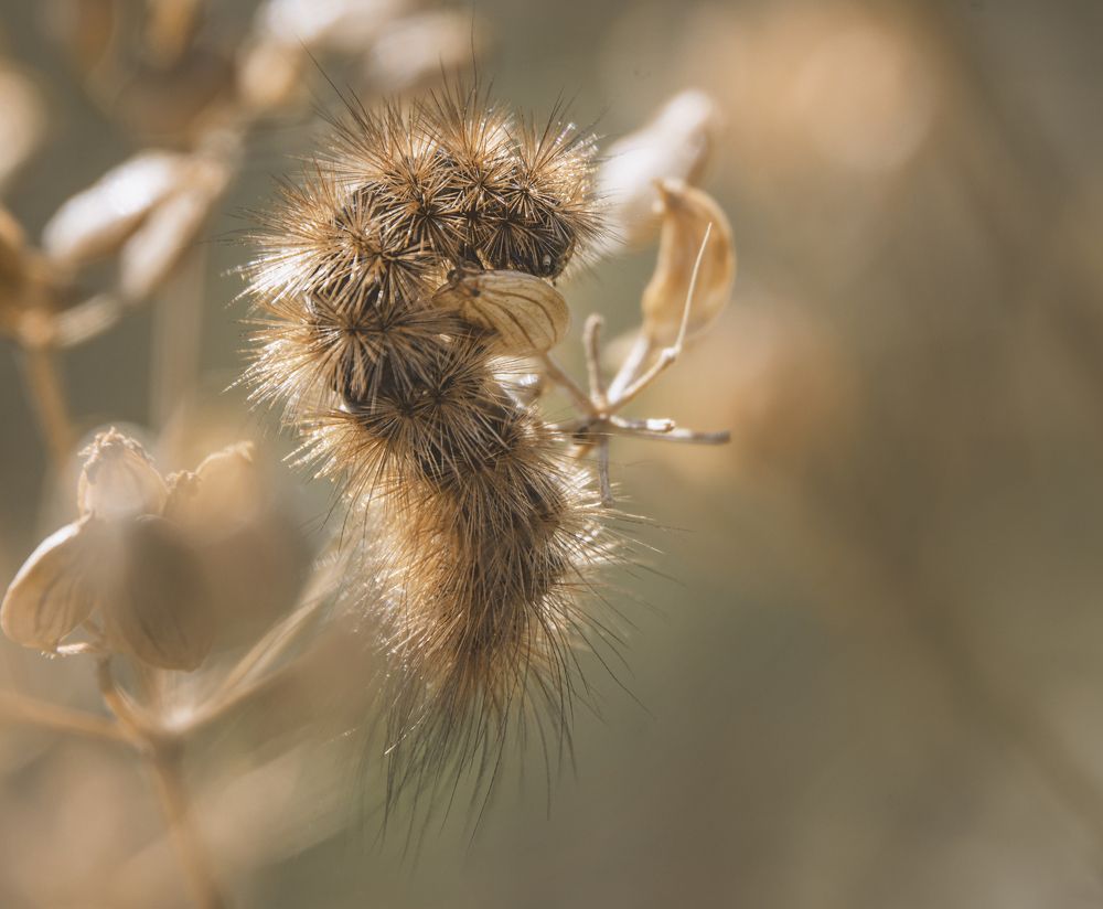 Photograph by Наталья Быстрая