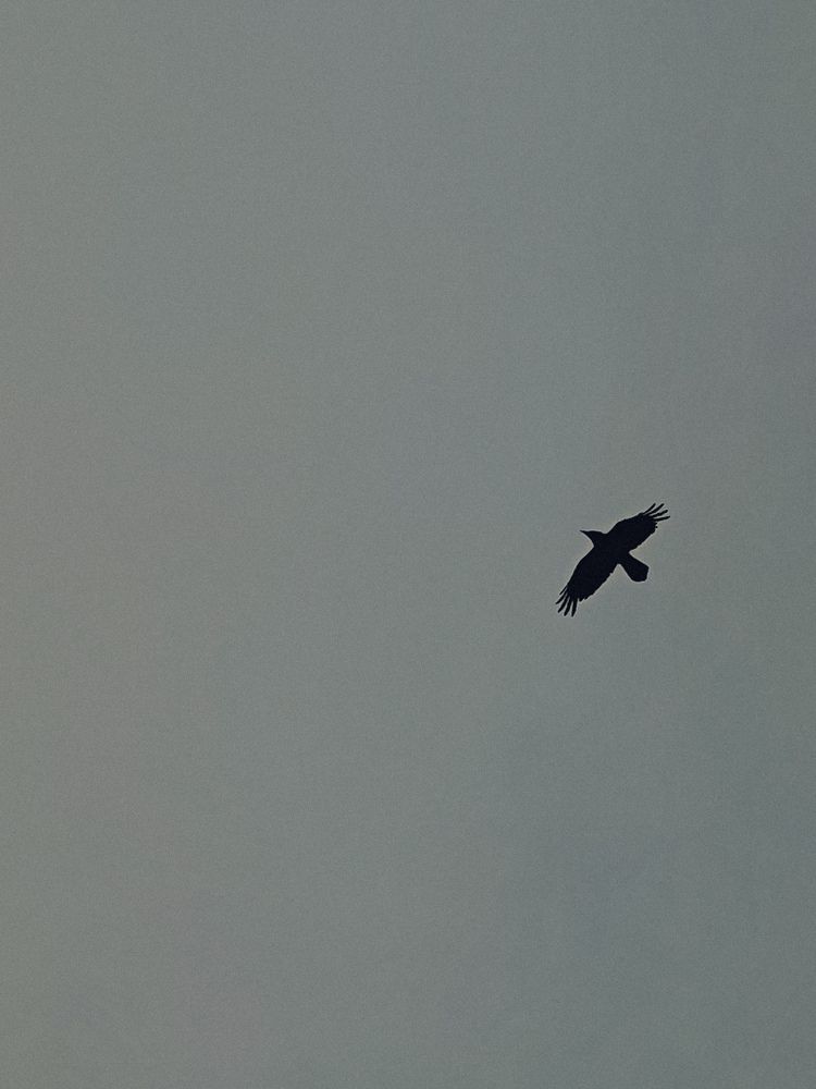 Photograph by Maria Stankevich