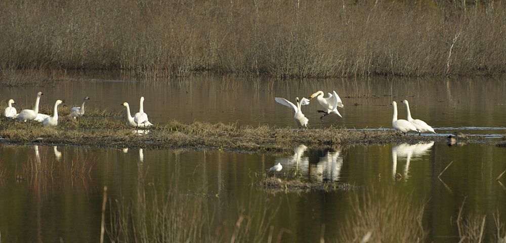 Photograph by Геннадий Тикка