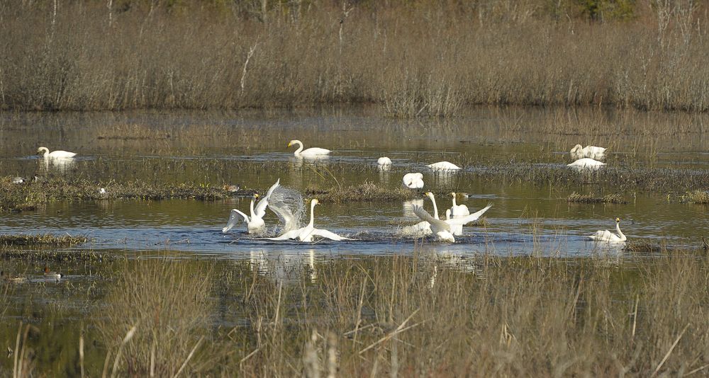 Photograph by Геннадий Тикка