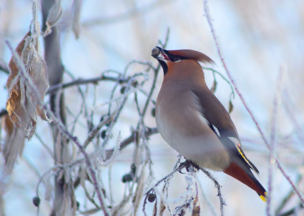 Photograph by Сергей Хранитель