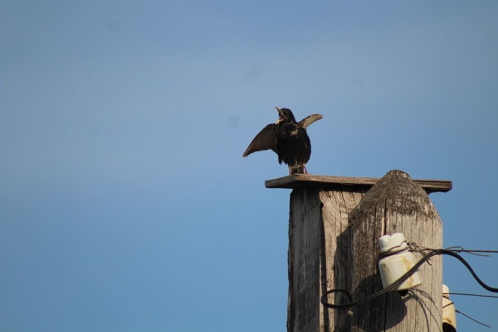 Photograph by дамир чекалин