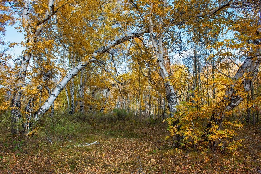 Photograph by Валерий Федяров