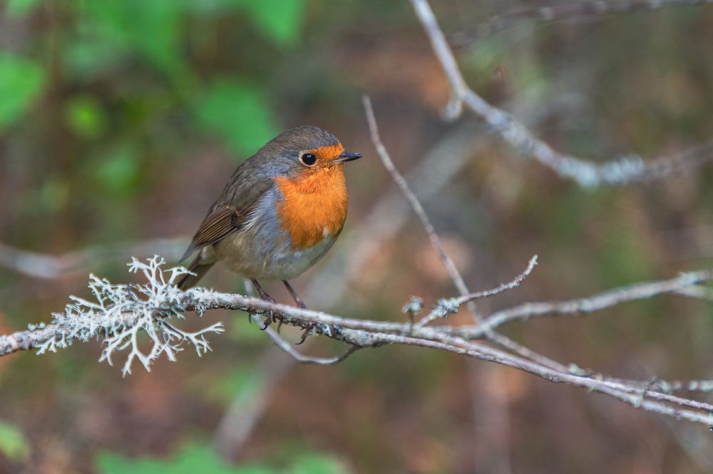 Photograph by Дмитрий Константинов