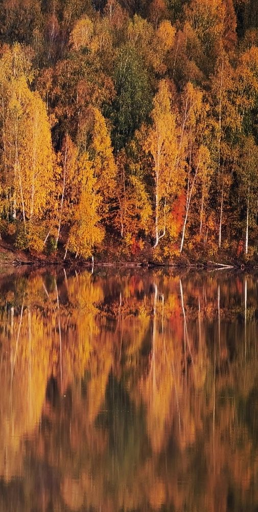 Photograph by Инна Адамович