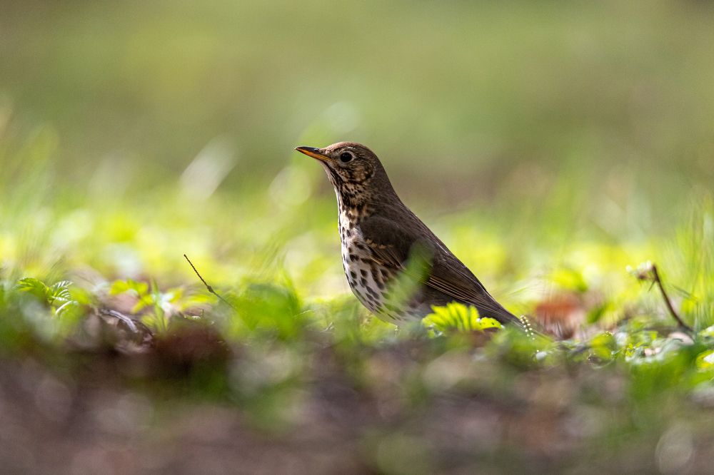 Photograph by Дмитрий Константинов