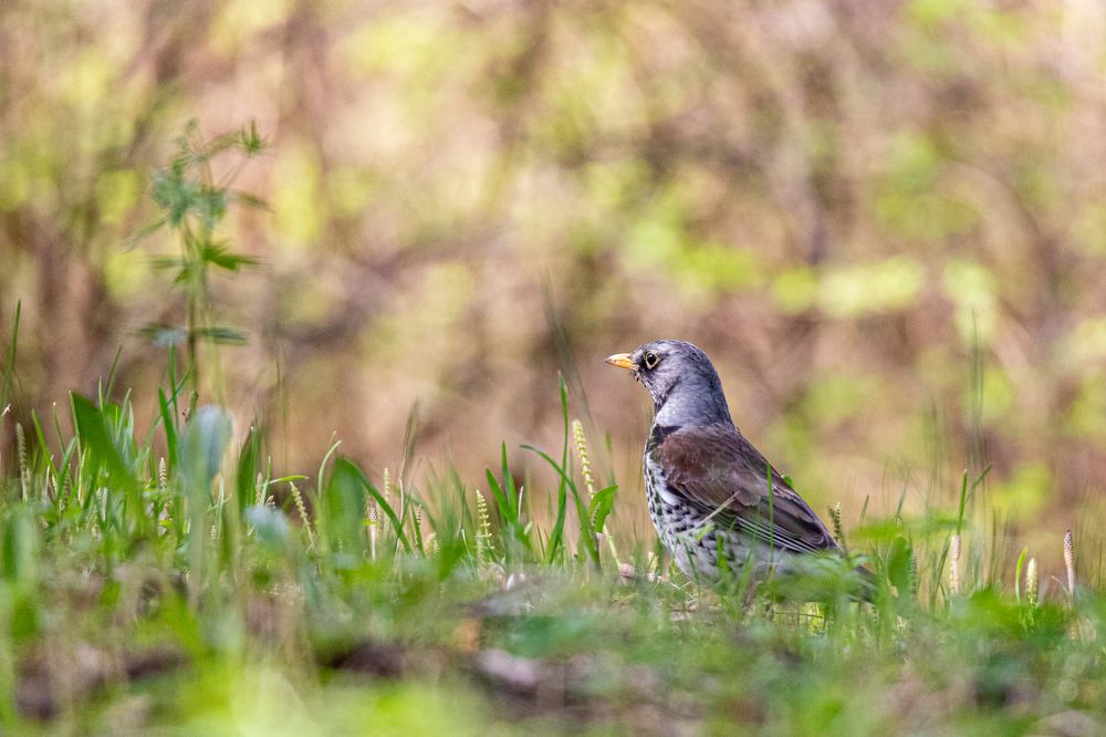 Photograph by Дмитрий Константинов