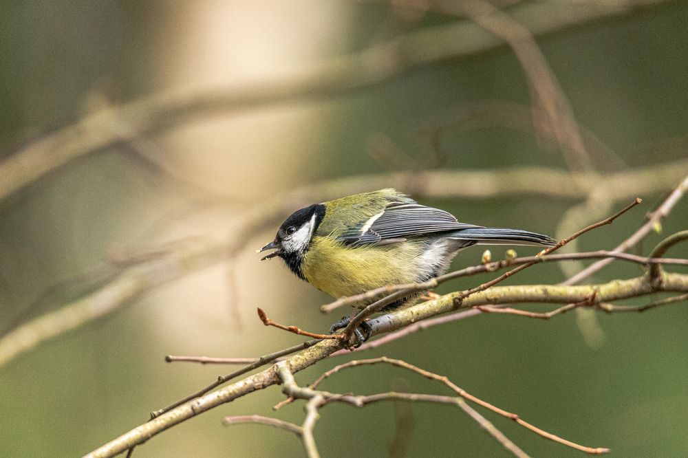 Photograph by Дмитрий Константинов