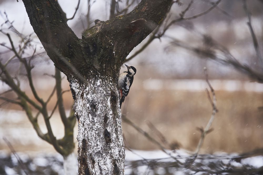 Photograph by Кристина Присакарь