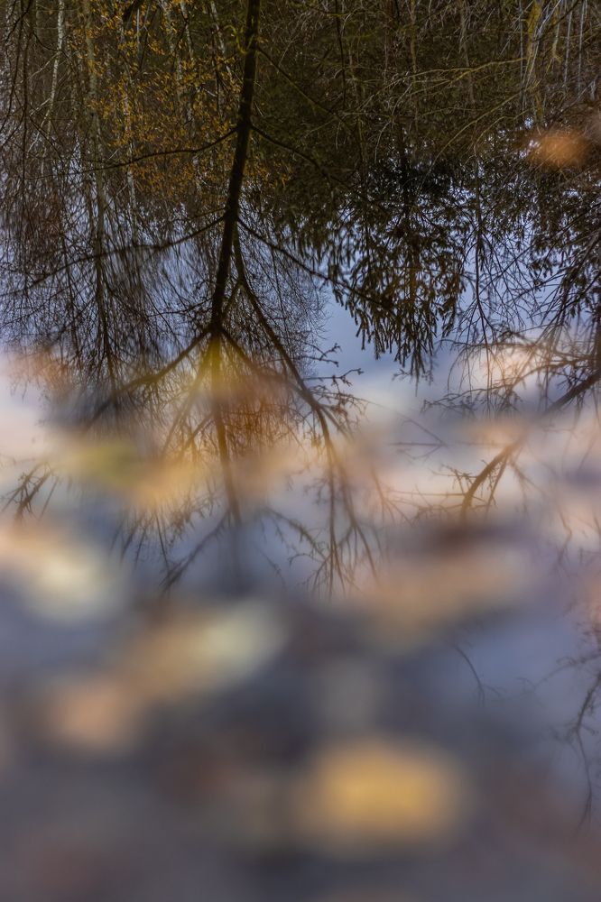 Photograph by Сергей Зайцев