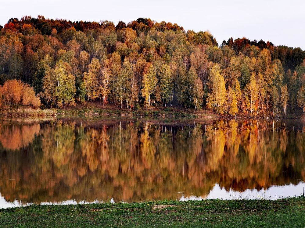 Photograph by Инна Адамович