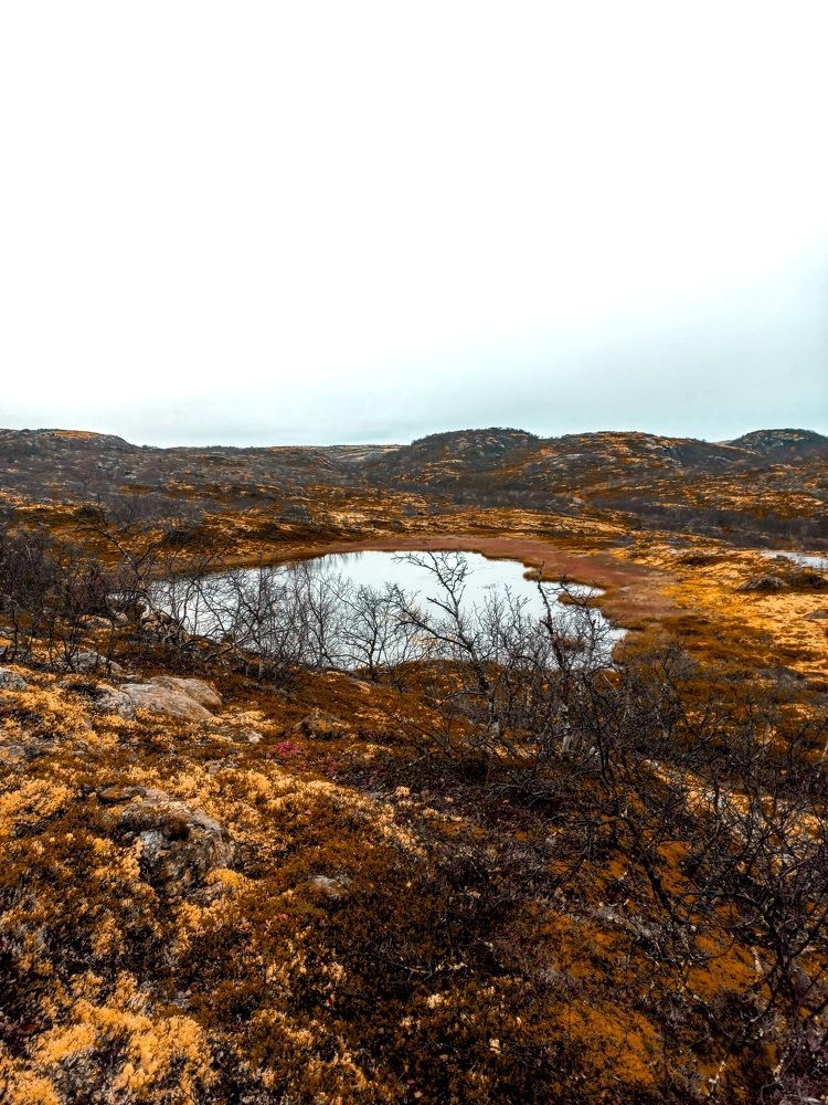 Photograph by Мария Добычина