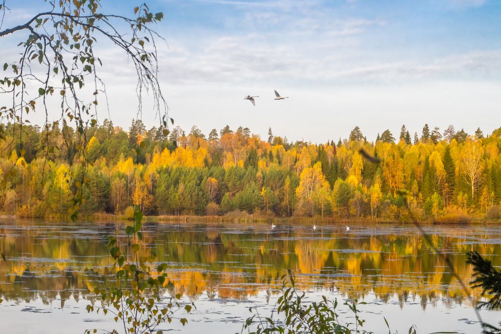 Фотография автора Рыболов Андрей