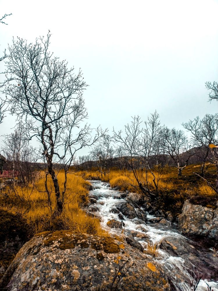 Photograph by Мария Добычина