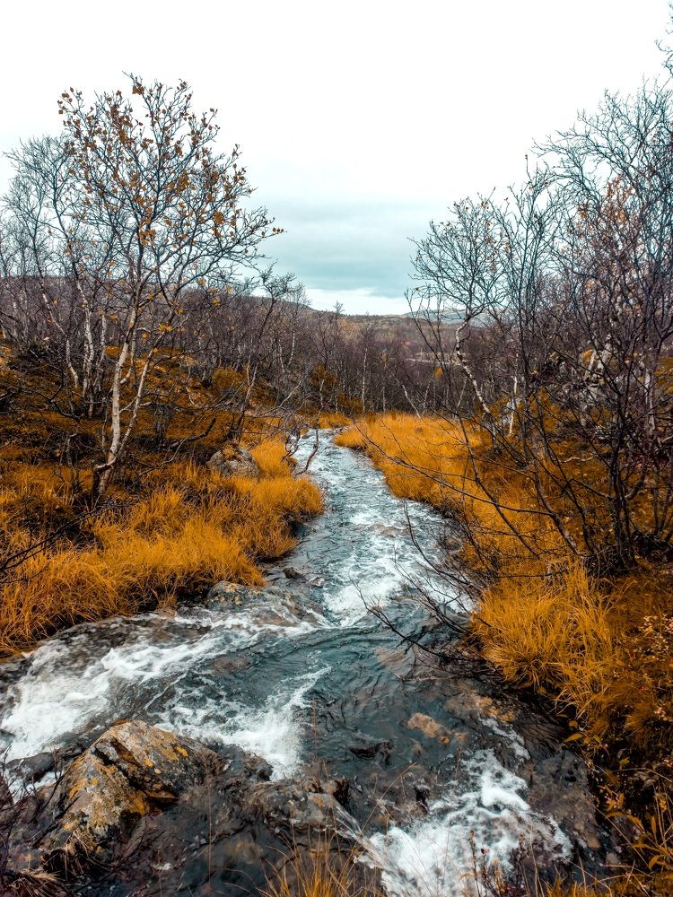 Photograph by Мария Добычина