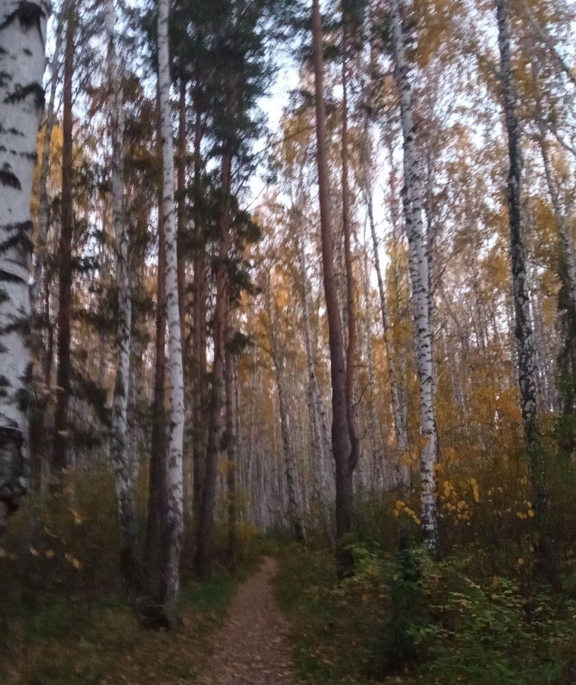 Photograph by Света Семёнова