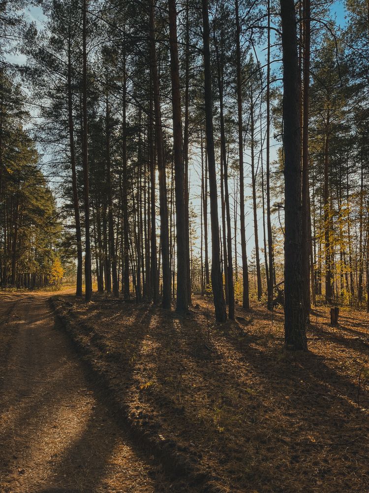 Photograph by Анна Нуруллина