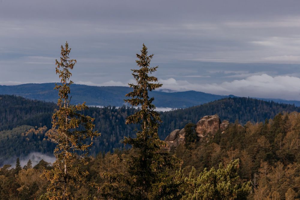 Photograph by Корчагина Оксана