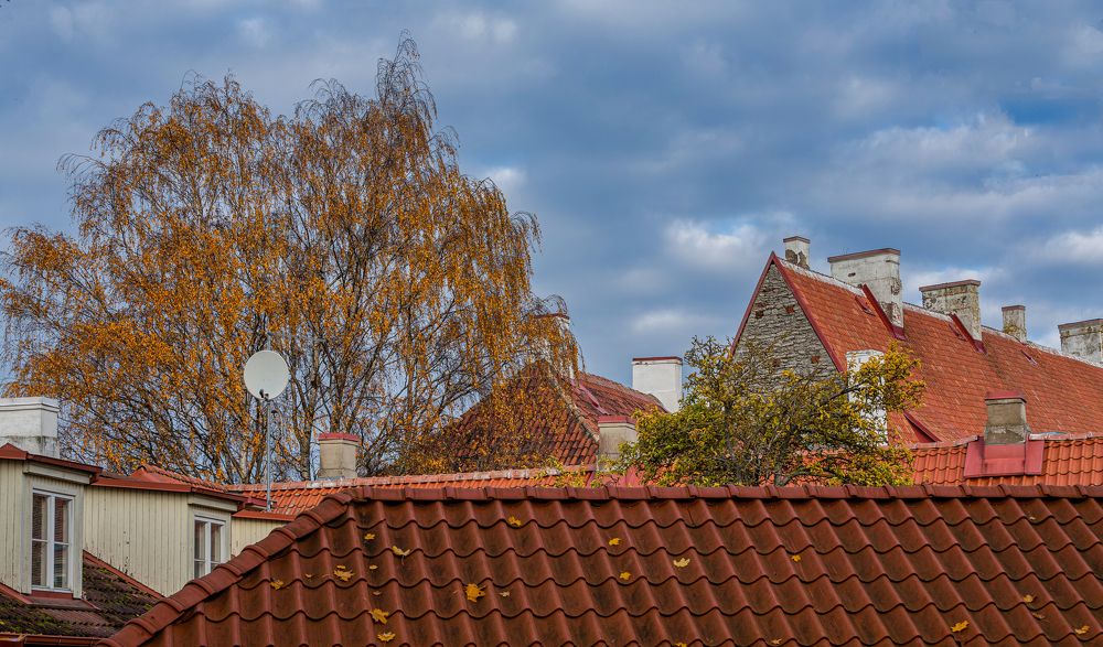 Photograph by yuri kutukov