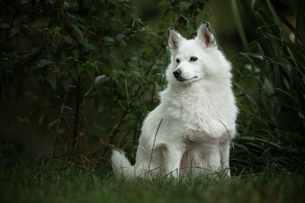 Photograph by Goené Gertrude