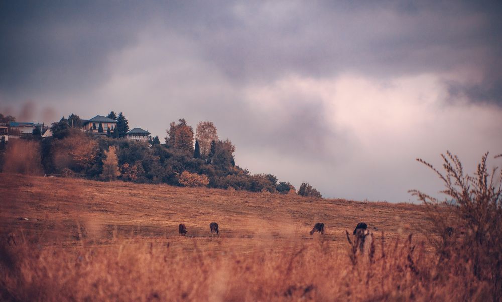 Photograph by Konstantin