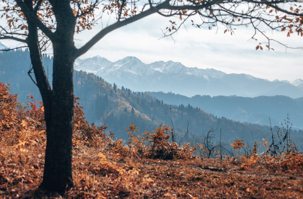 Photograph by Konstantin