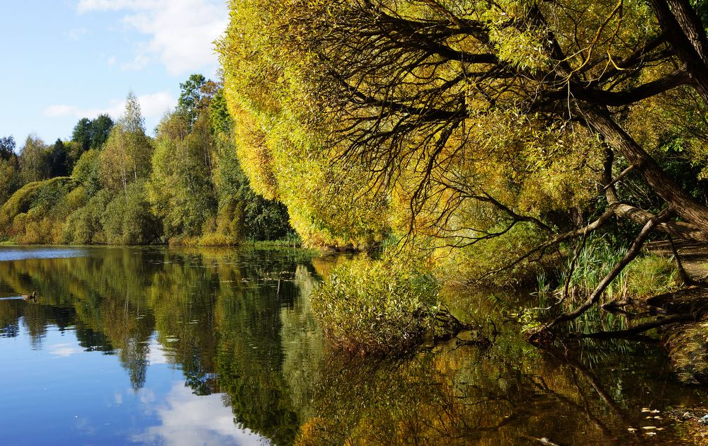 Photograph by Алла Бойко