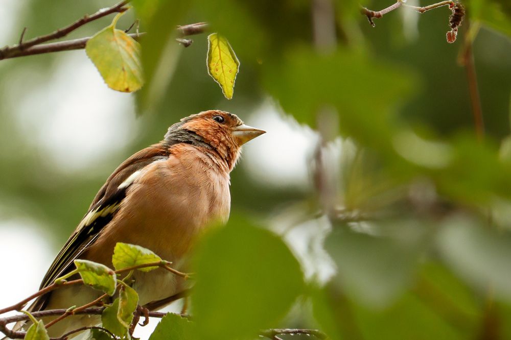 Photograph by Ангелина Высочина