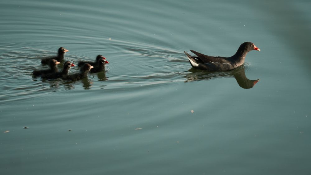 Фотография автора Вячеслав Афанасьев