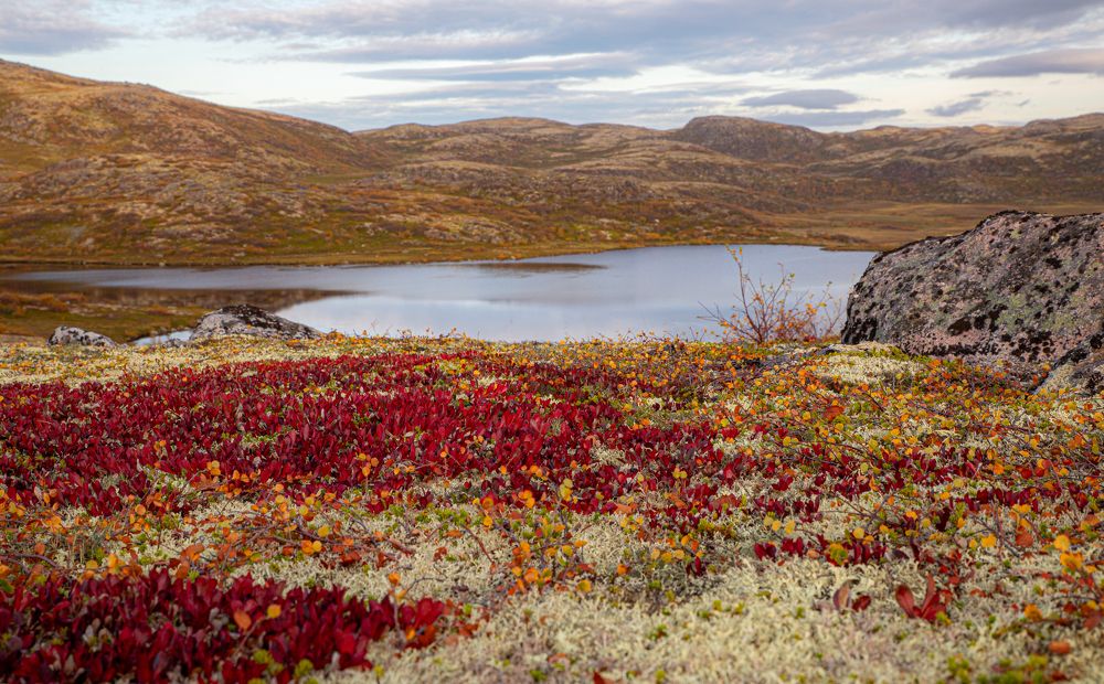 Photograph by Елена Данченко
