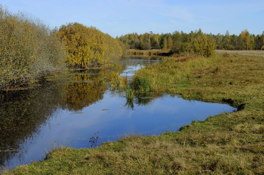 Фотография автора Николай Семенец