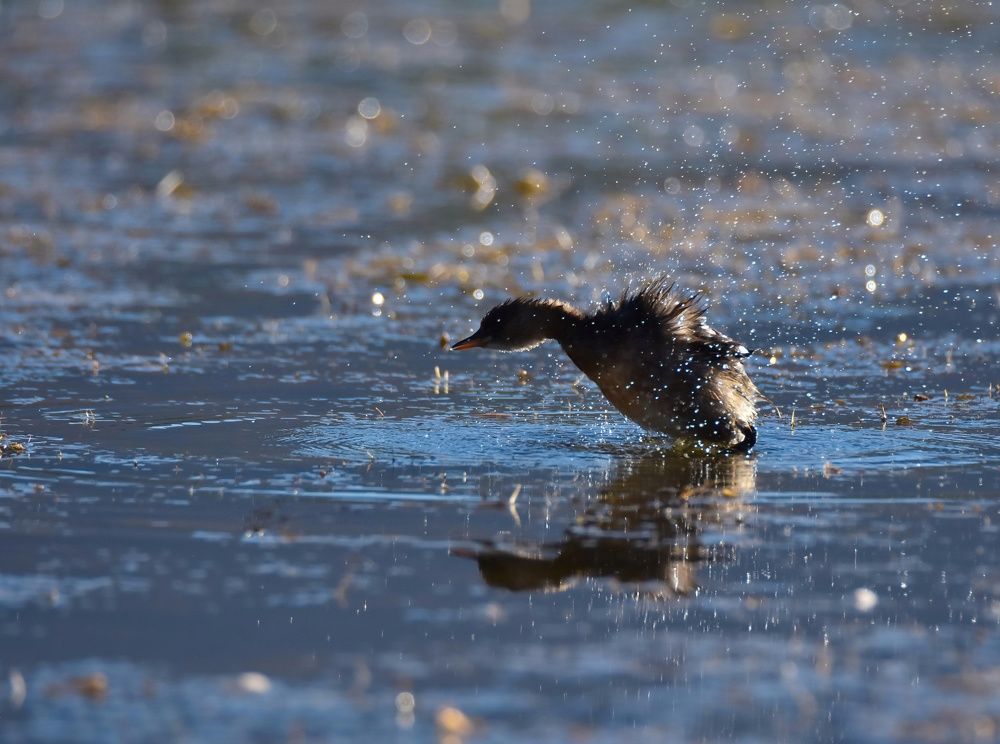 Photograph by Mostafa abyareh